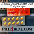Comment Utiliser La Gelée Orale 100 Mg Kamagra new01